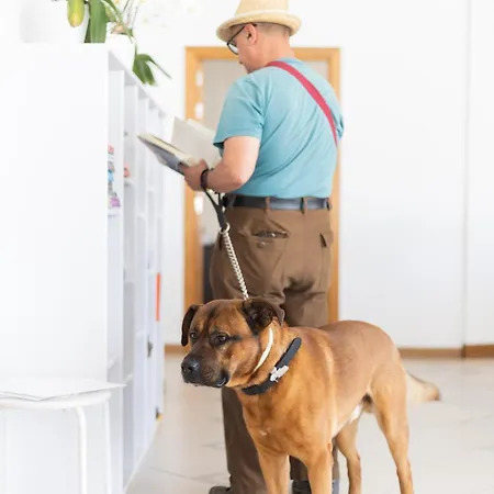 Dunas Do - Torralvor Appartement *