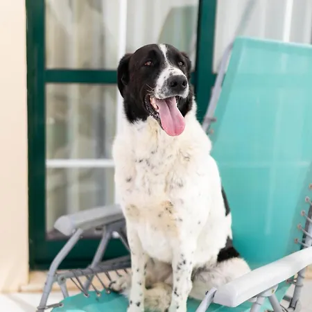 Апартаменты Dunas Do - Torralvor *