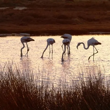 公寓 Dunas Do - Torralvor *