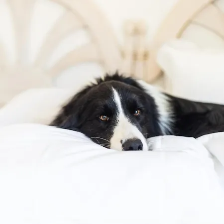 Dunas Do - Torralvor *