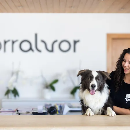 Dunas Do - Torralvor * ألفور