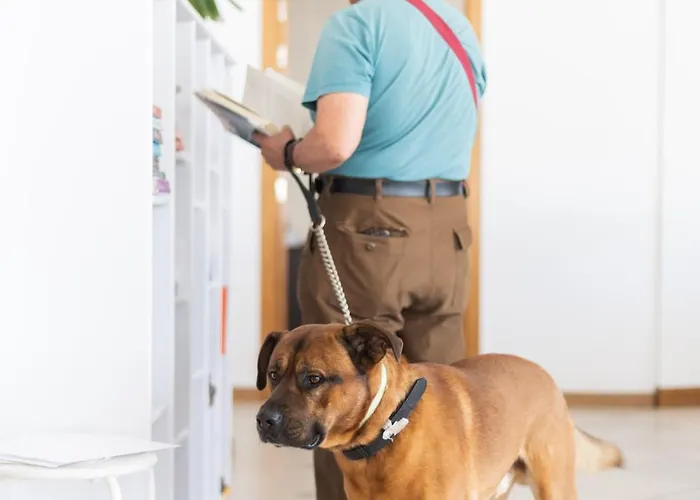 Dunas Do - Torralvor Daire *